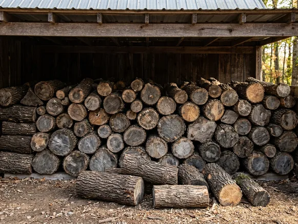 Дубовые дрова естественной сушки